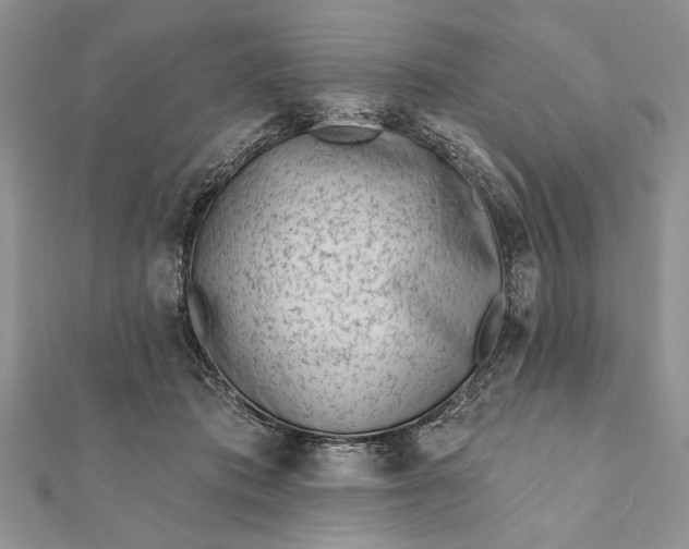 X0000112060413200908181202