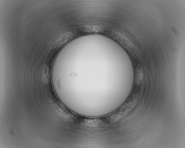 X0000112060414200908181202