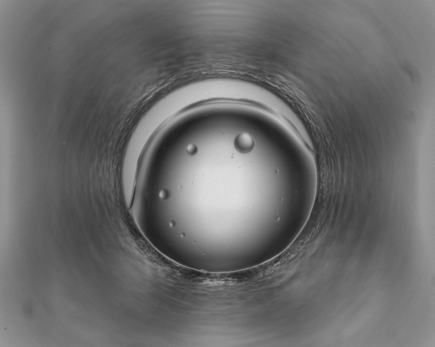 X0000112060415200908181202