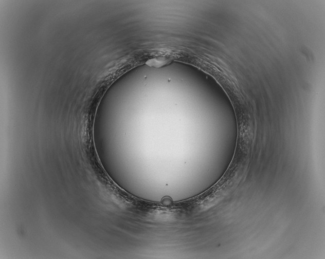 X0000112060416200908181202