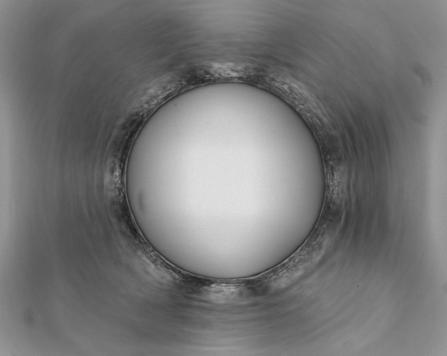 X0000112060418200908181202