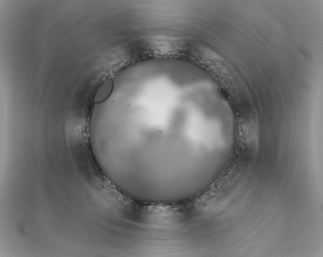 X0000112060419200908181202