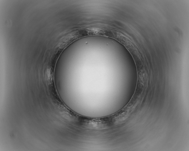 X0000112060420200908181202