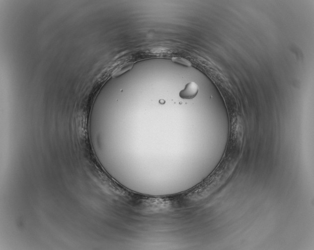 X0000112060421200908181202