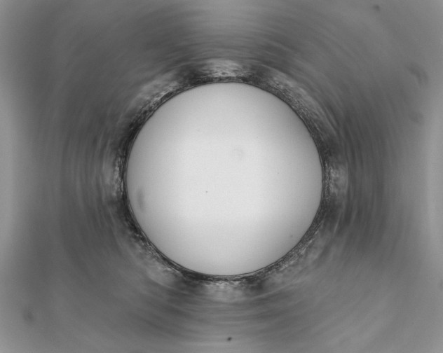 X0000112060422200908181202