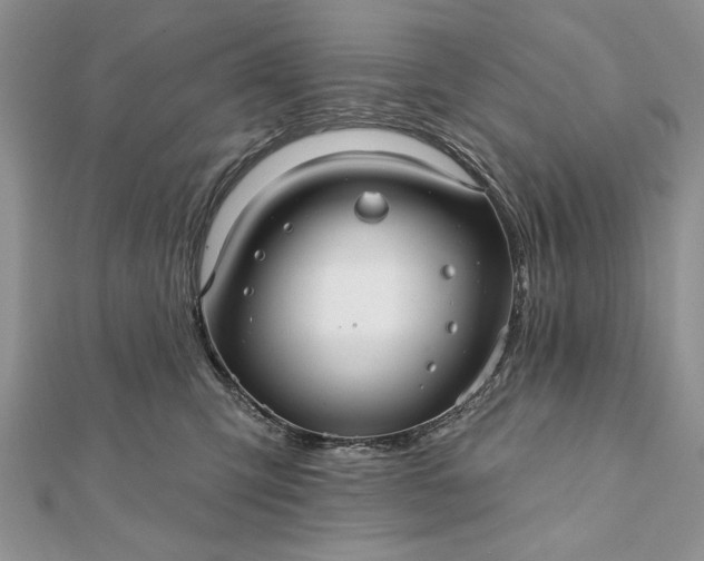 X0000112060423200908181202