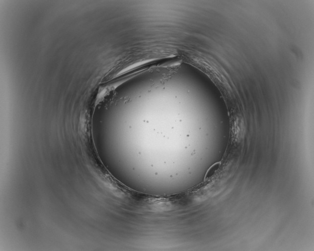 X0000112060424200908181202