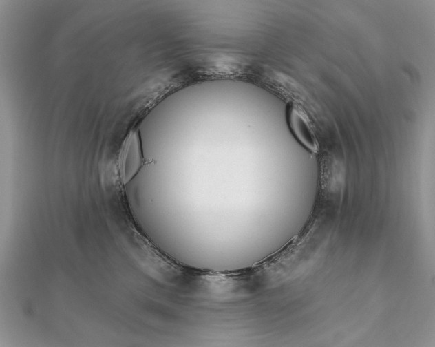 X0000112060425200908181202