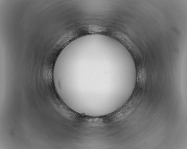 X0000112060426200908181202