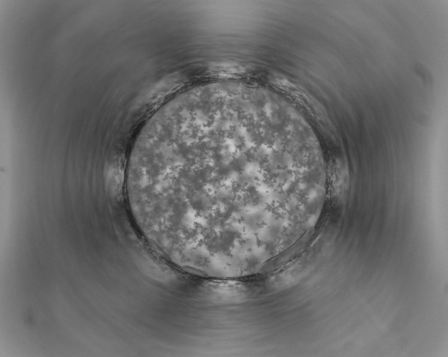 X0000112060427200908181202