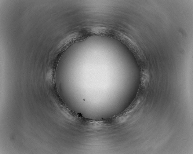 X0000112060428200908181202