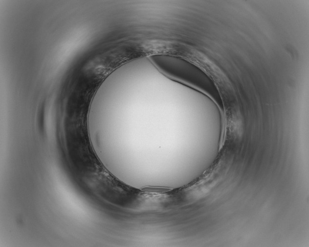 X0000112060429200908181202