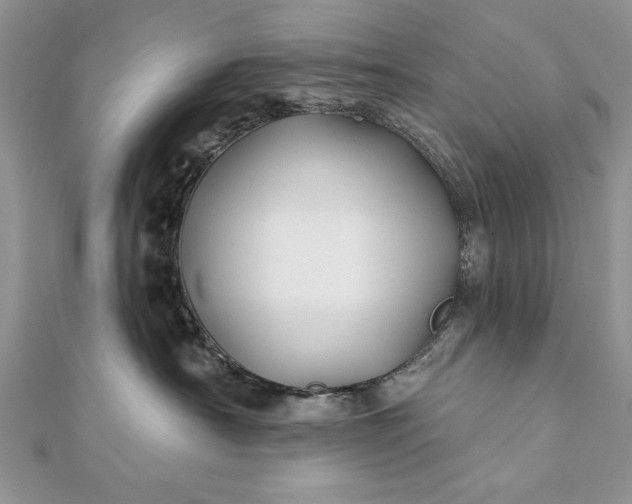 X0000112060430200908181202