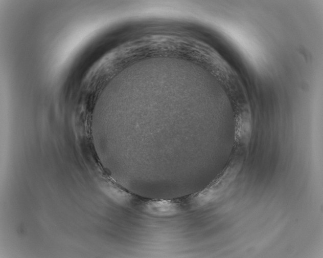 X0000112060431200908181202