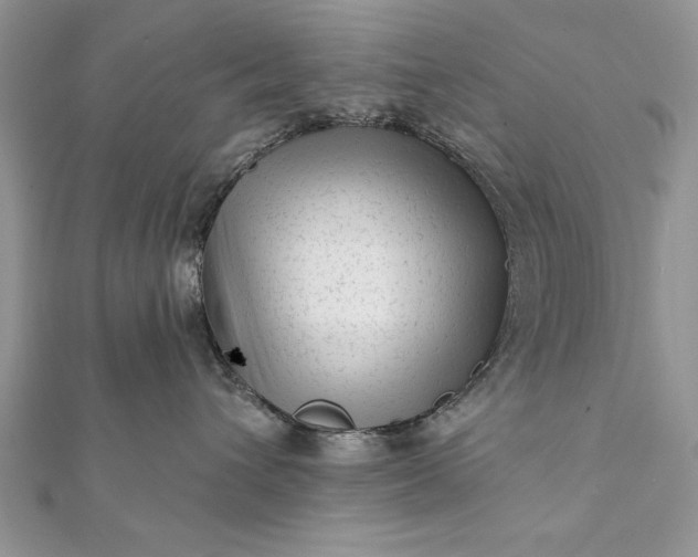 X0000112060432200908181202