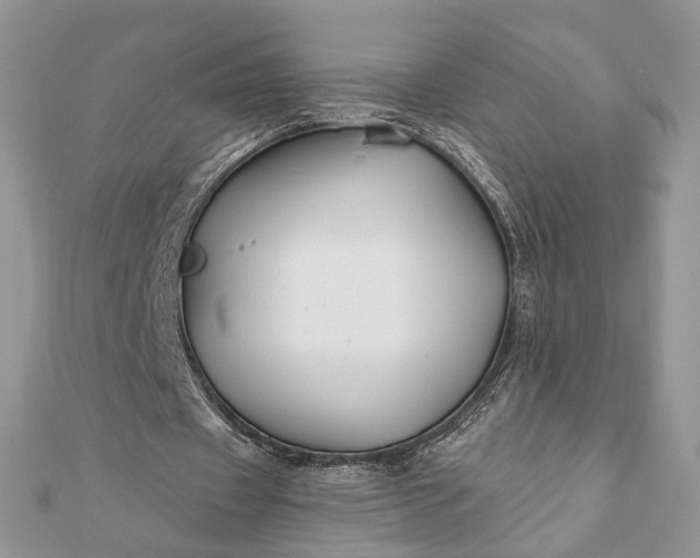 X0000112060433200908181201