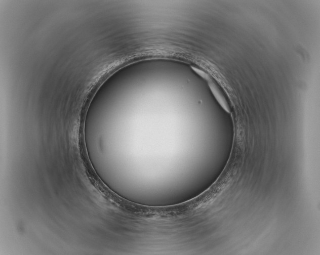 X0000112060434200908181201