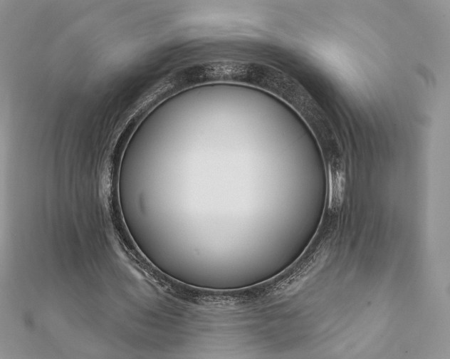 X0000112060435200908181201