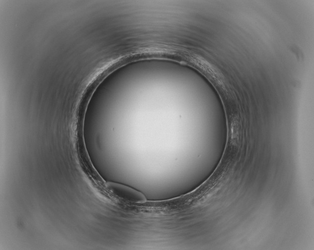 X0000112060436200908181201