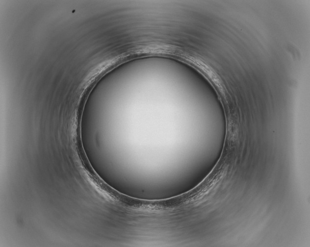 X0000112060437200908181201