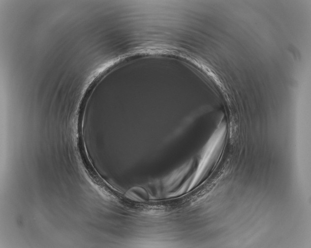 X0000112060438200908181201