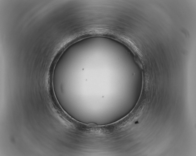 X0000112060439200908181201