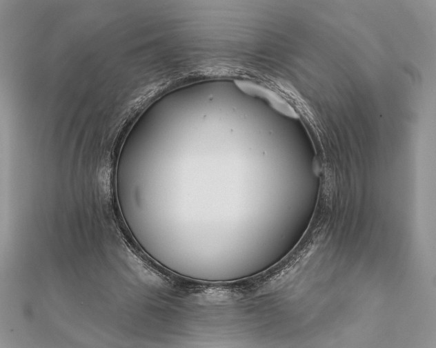 X0000112060441200908181201