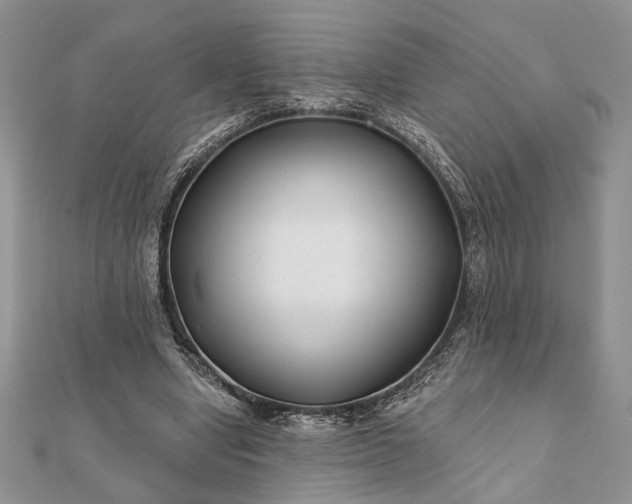 X0000112060442200908181201