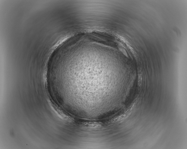 X0000112060443200908181201