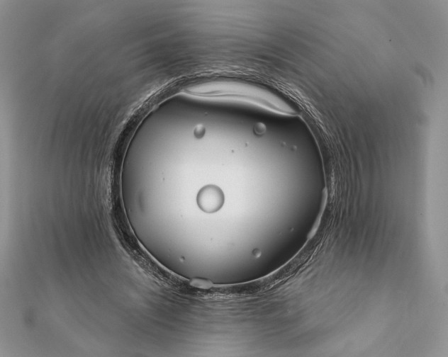 X0000112060444200908181201