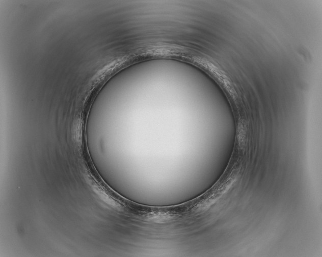 X0000112060445200908181201