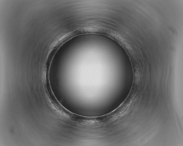 X0000112060446200908181201