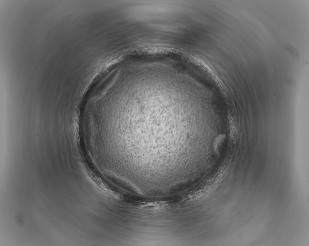 X0000112060447200908181201