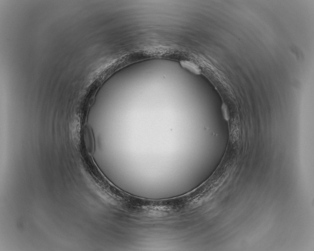 X0000112060448200908181202