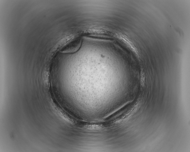 X0000112060449200908181202