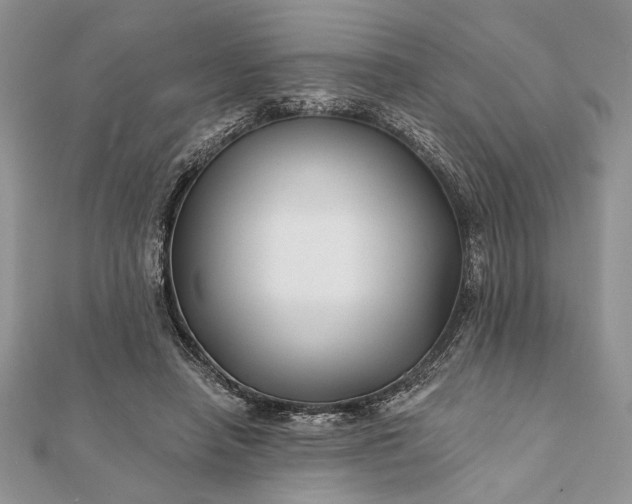 X0000112060450200908181202