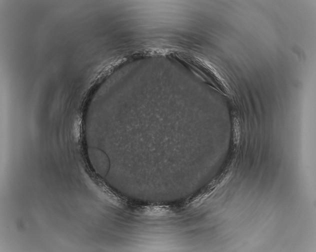 X0000112060451200908181202