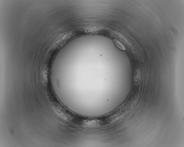 X0000112060452200908181202