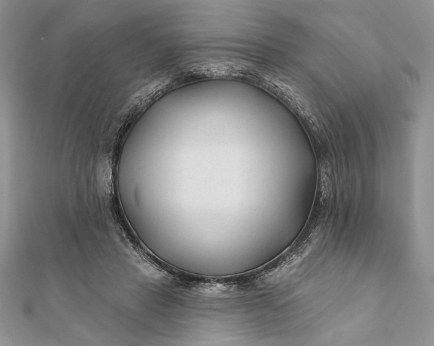 X0000112060453200908181202