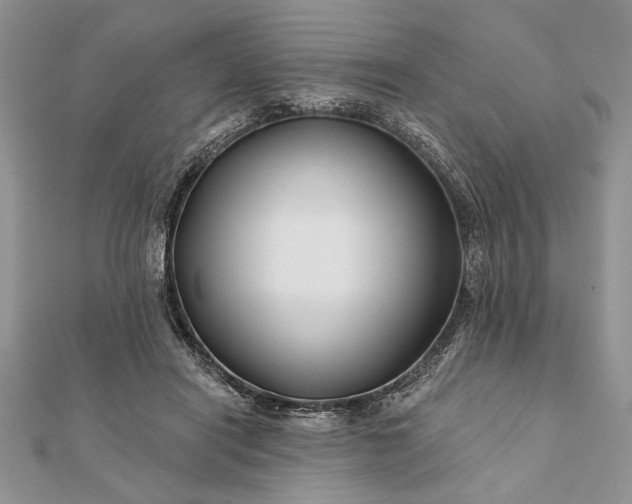 X0000112060454200908181202