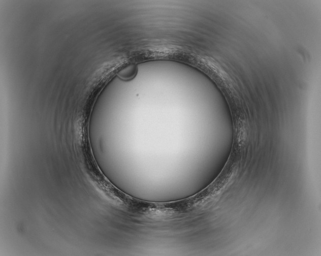 X0000112060455200908181202