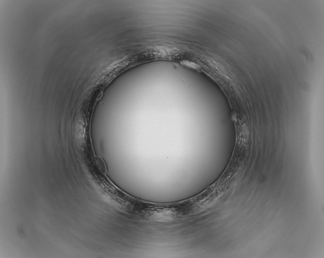 X0000112060456200908181202