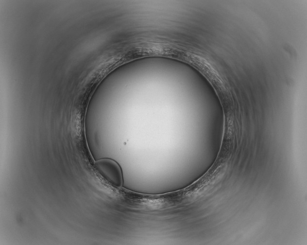 X0000112060457200908181202