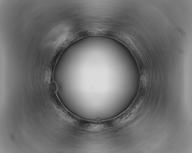 X0000112060458200908181202