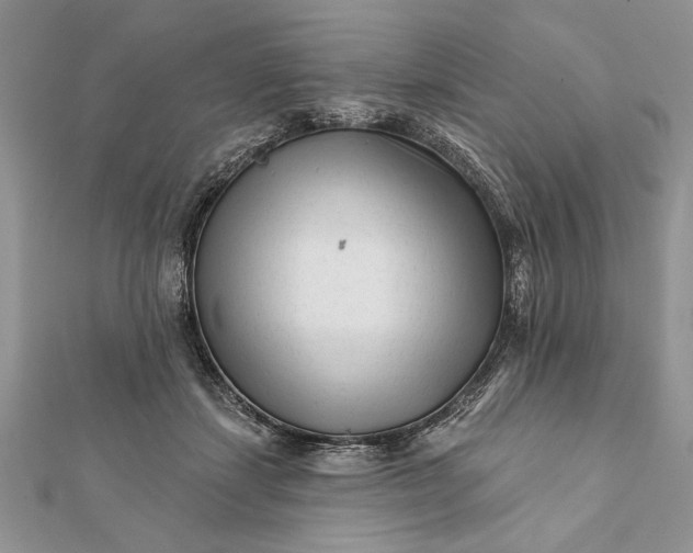 X0000112060459200908181202