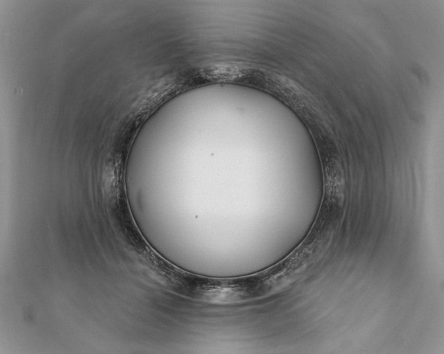 X0000112060460200908181202