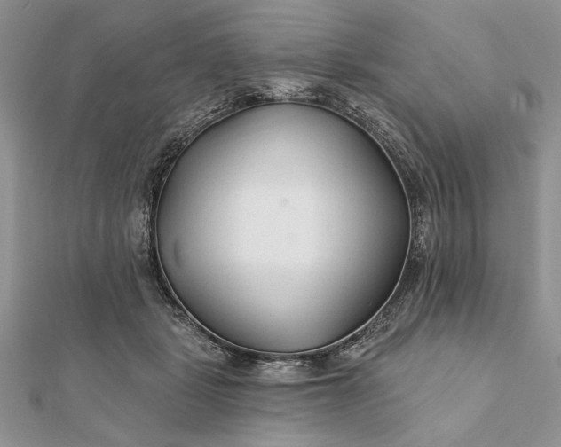 X0000112060461200908181202