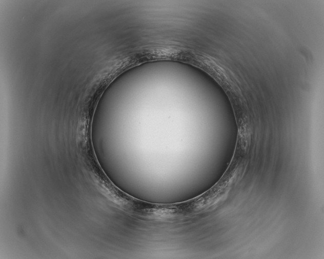 X0000112060462200908181202