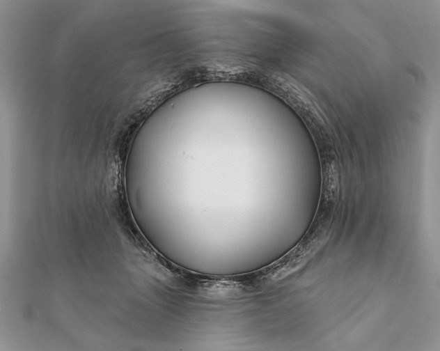 X0000112060463200908181202