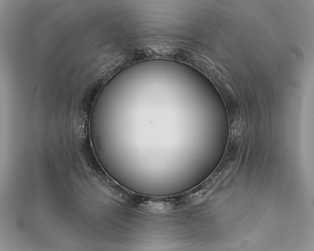 X0000112060464200908181202